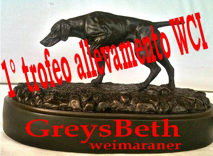 GREYSBETH KENNEL VINCITORE DEL TROFEO ALLEVAMENTO 2010 e 2011